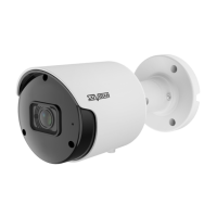IP-видеокамера SVI-S153A SD SL RU